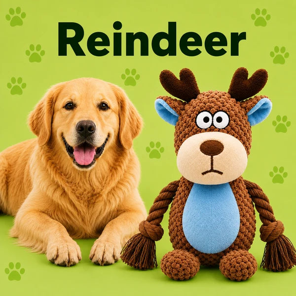 Plushies – Designed for Furry Friends Who Destroy Everything