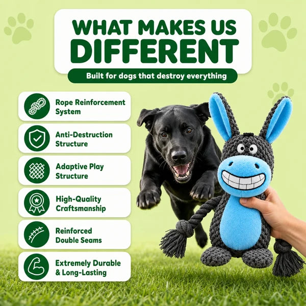 Plushies – Designed for Furry Friends Who Destroy Everything